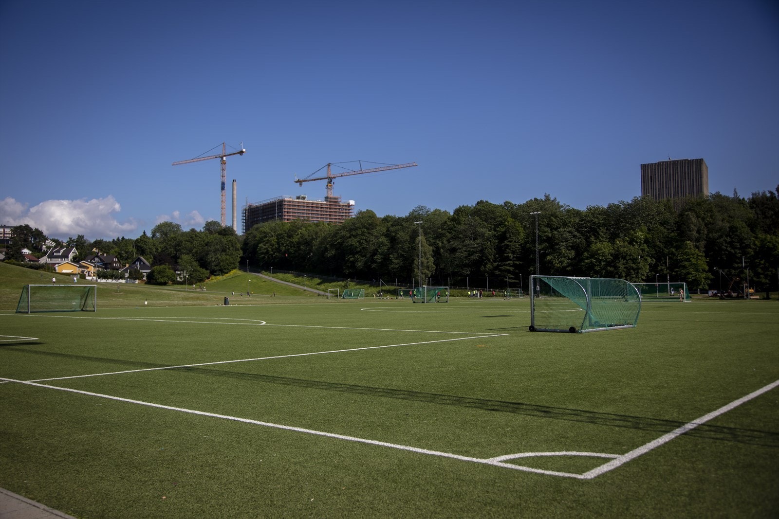 - Nærområdet - Galleribilde