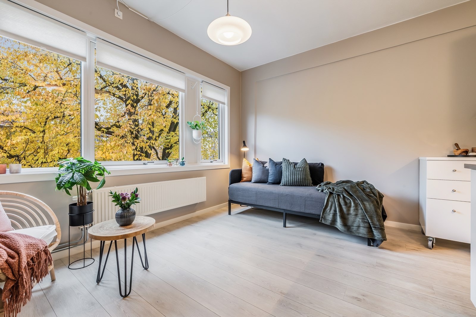 - Leiligheten er malt i delikate og tidsriktige farger - Galleribilde