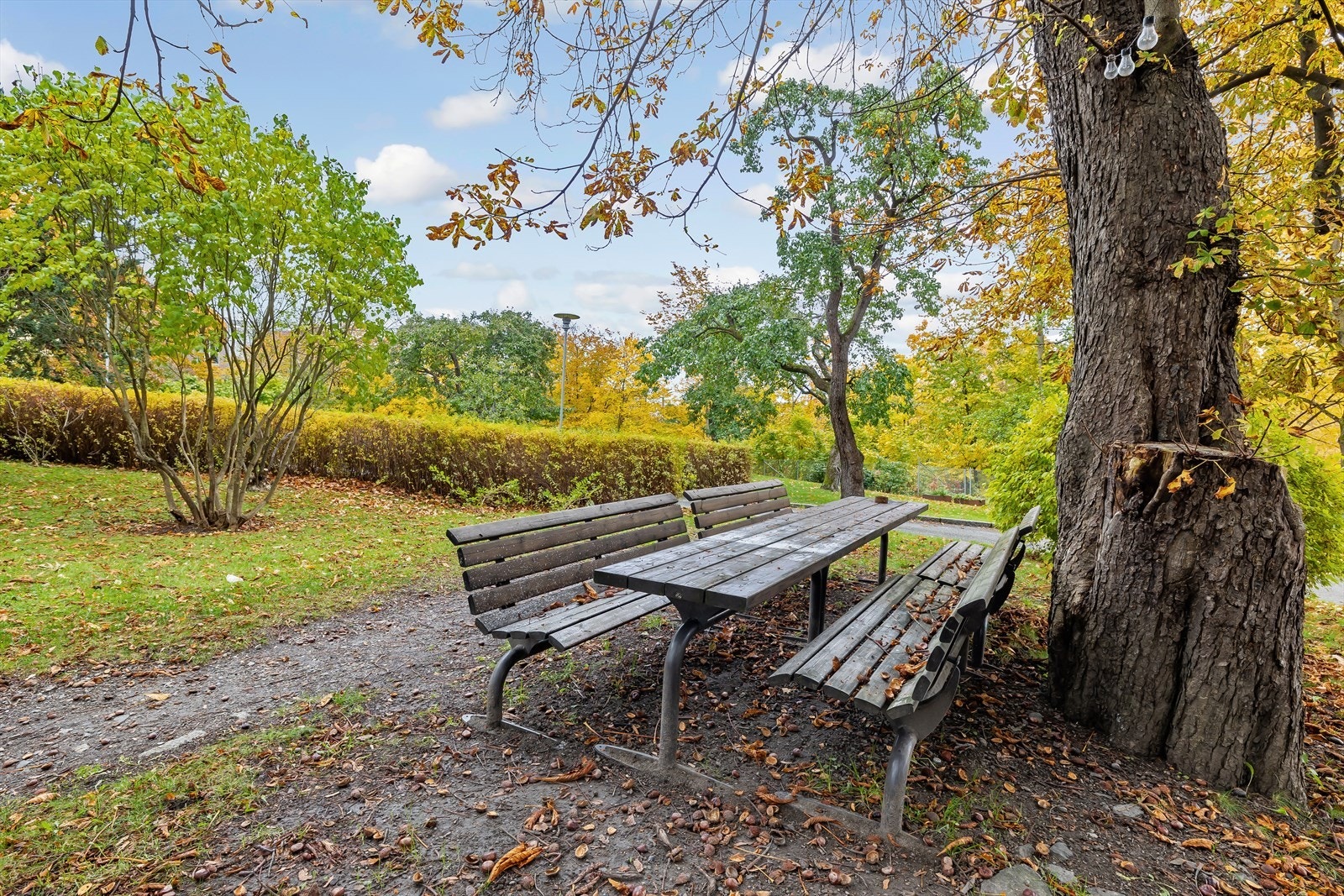 - I bakgården finner man flere sittegrupper og flotte grøntarealer - Galleribilde