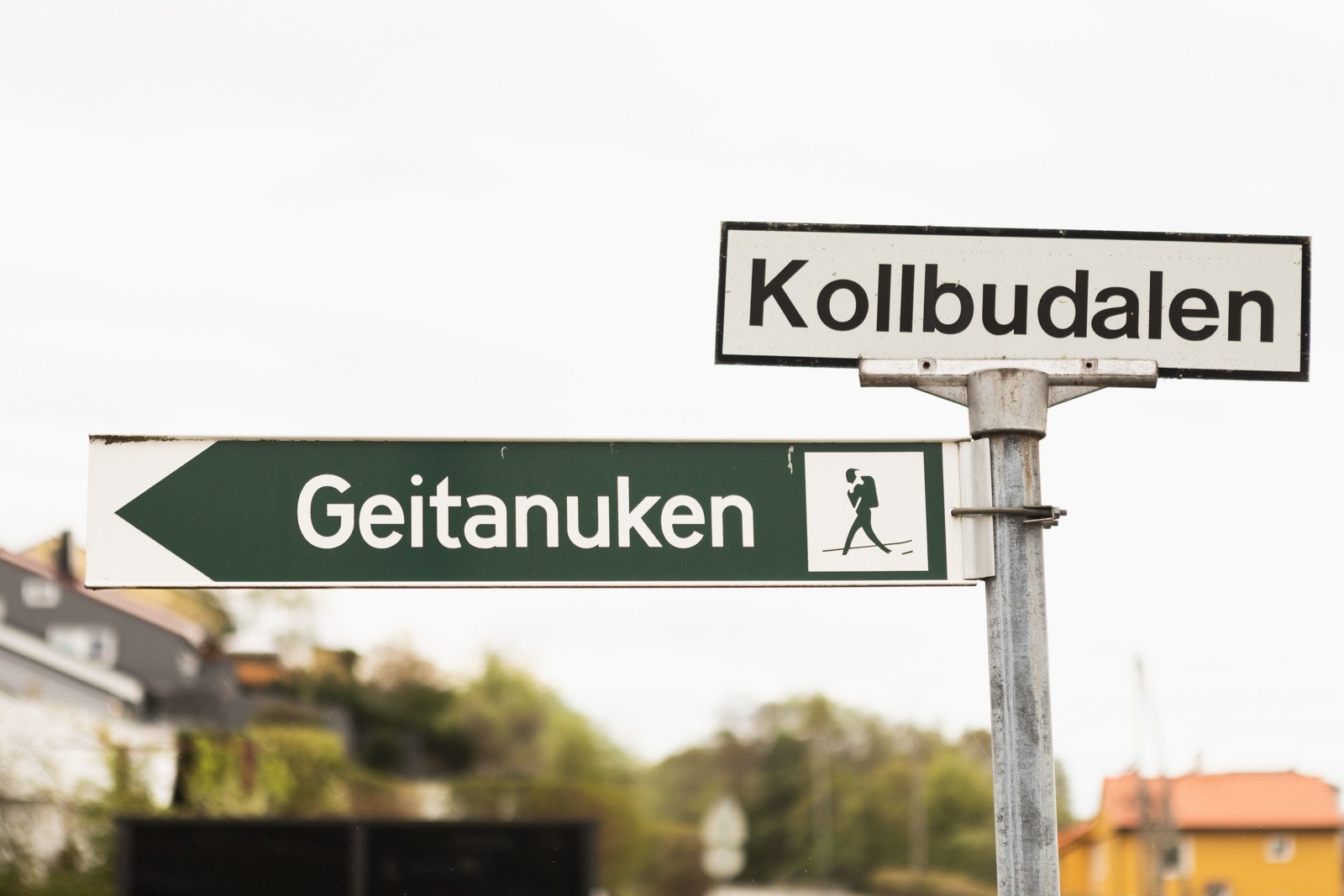 Nyt de landlige omgivelsene med fine tur- og fritidsmuligheter like utenfor døren. Når du trenger en utfordring kan du velge mellom Toppenipa, Telleviksfjellet, Høgstefjellet og Geitanuken. Galleribilde