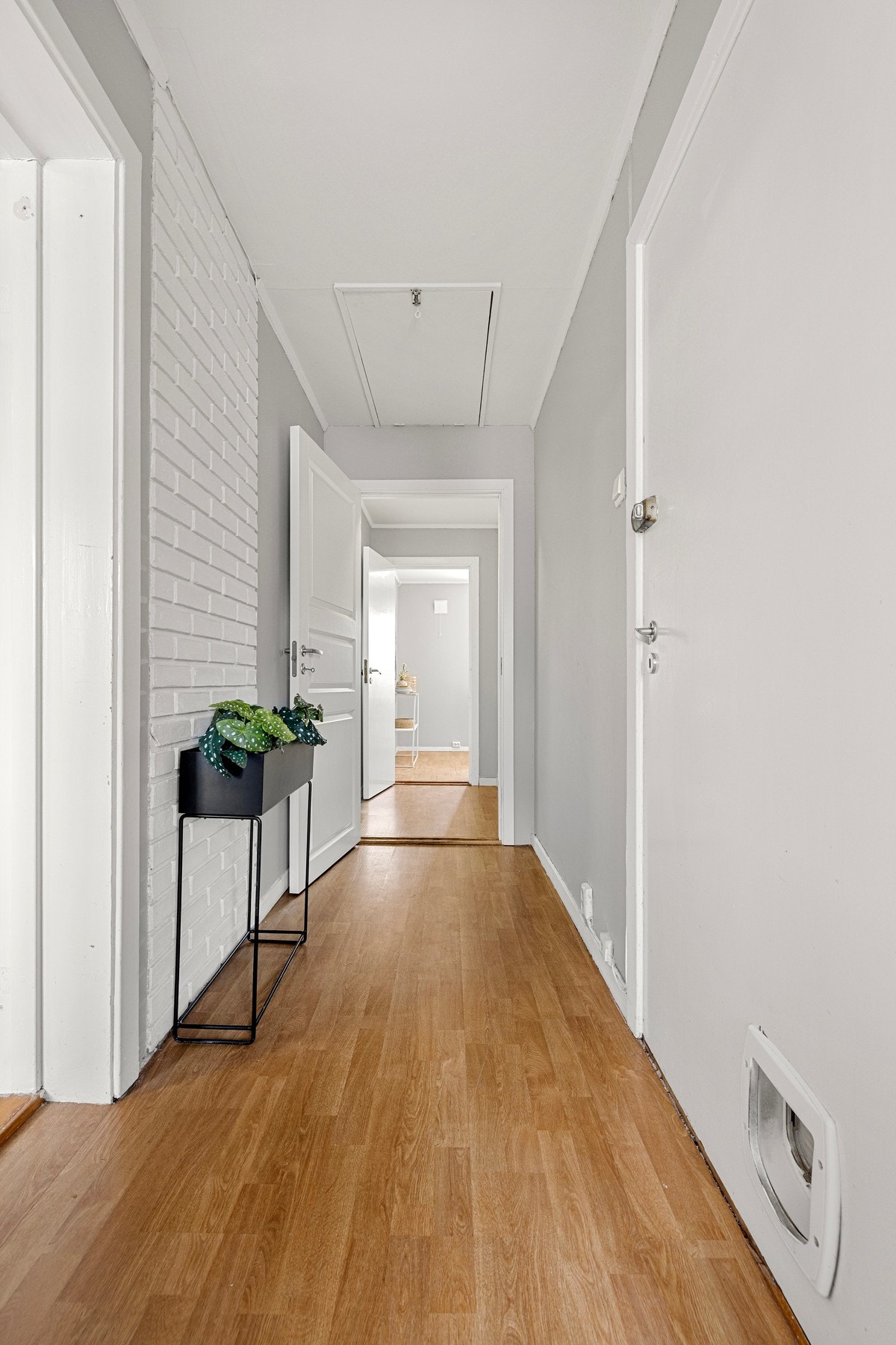 En lys og innbydende gang. I taket finnes adkomst til et romslig loft med rikelig plass til lagring. Galleribilde