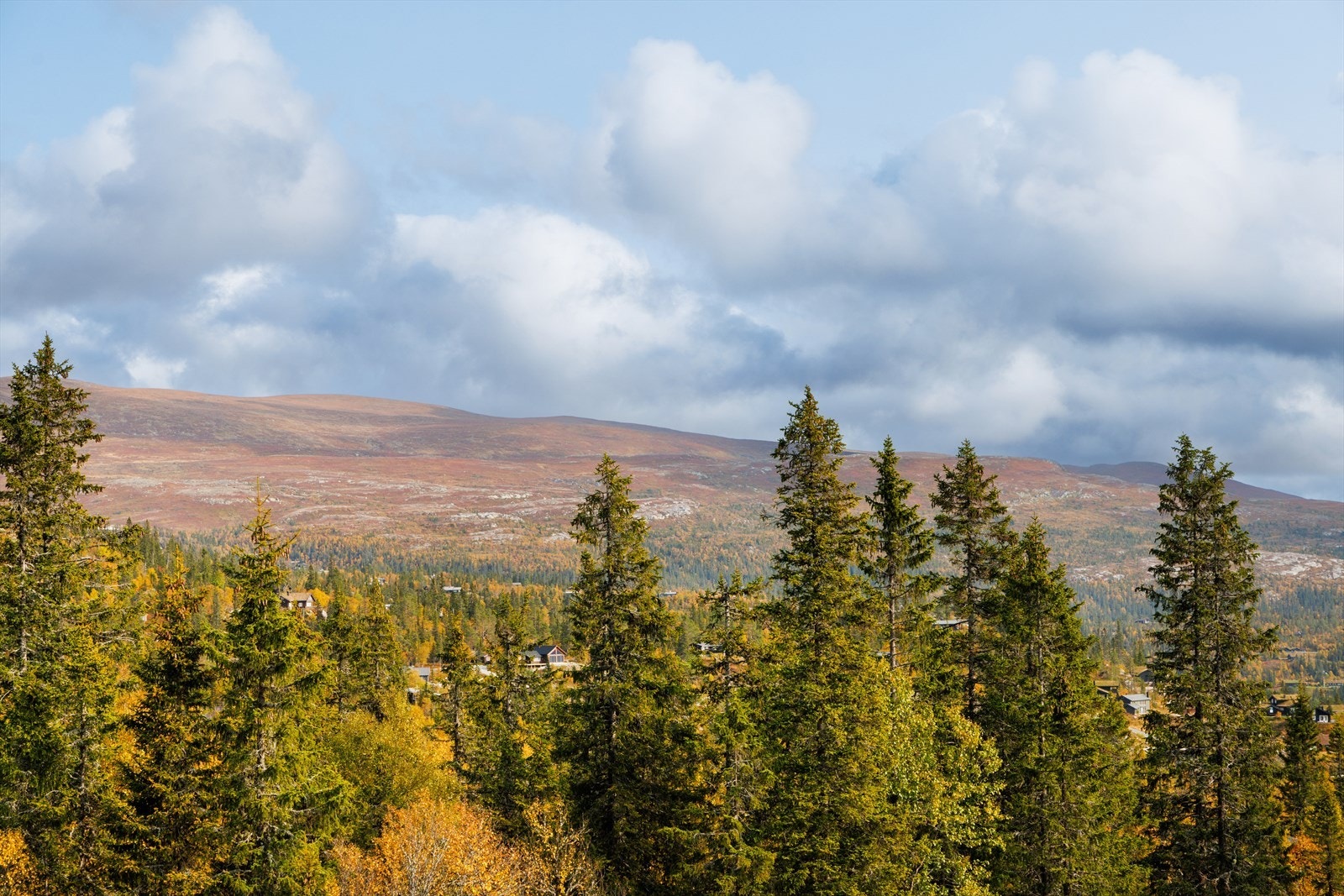 Ypperlige turforhold sommer som vinter rett utenfor døra! Galleribilde