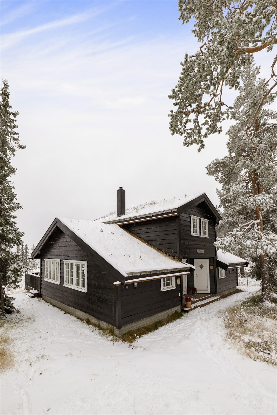 Velkommen til visning! Galleribilde