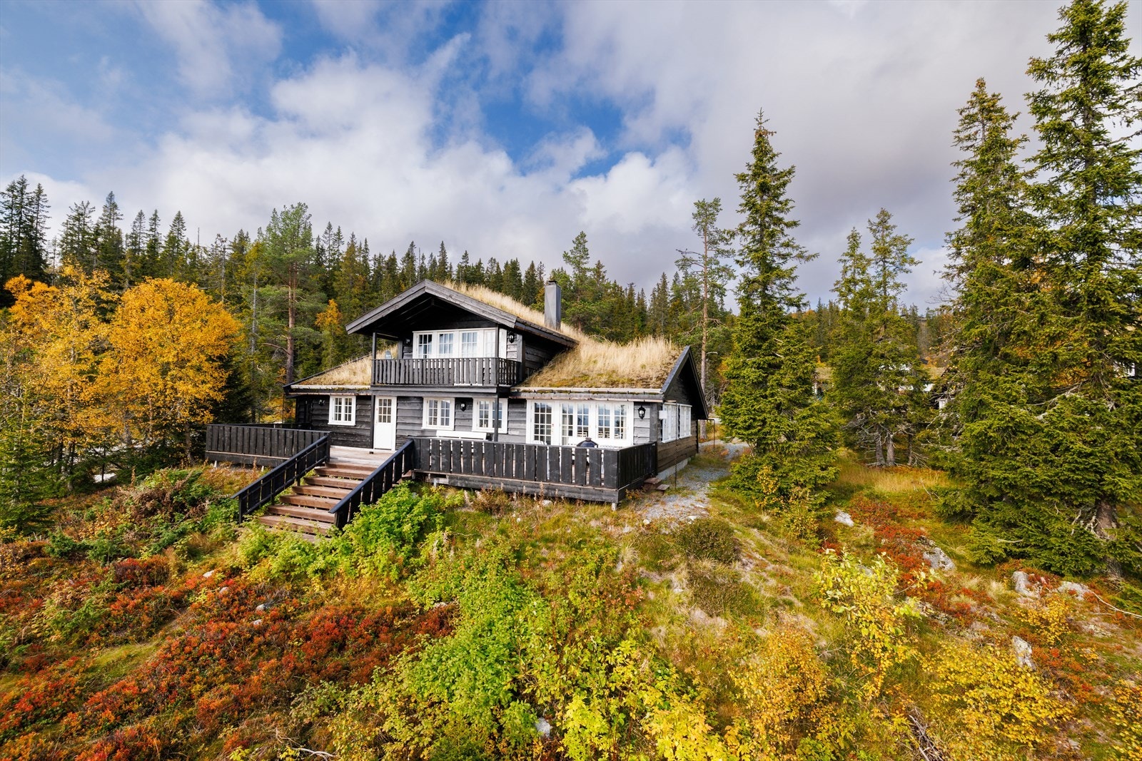 Velkommen til Risleliveien 176! Galleribilde