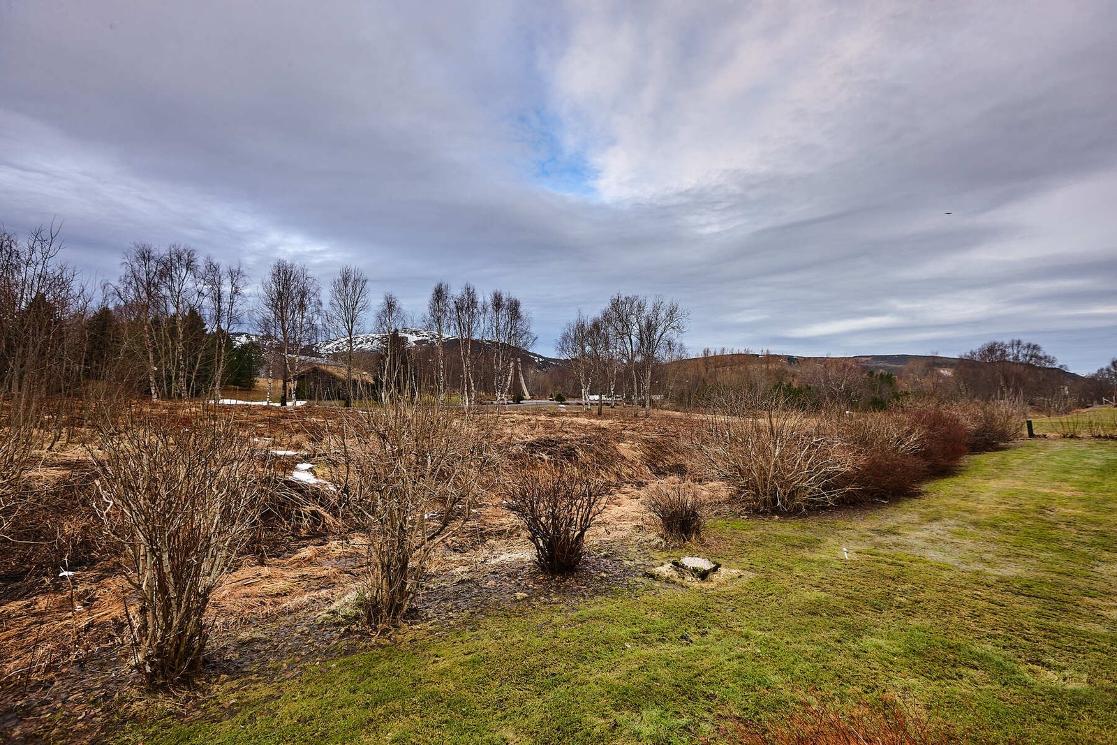 Nedenfor terrassen er det gode utemuligheter på plen. Galleribilde