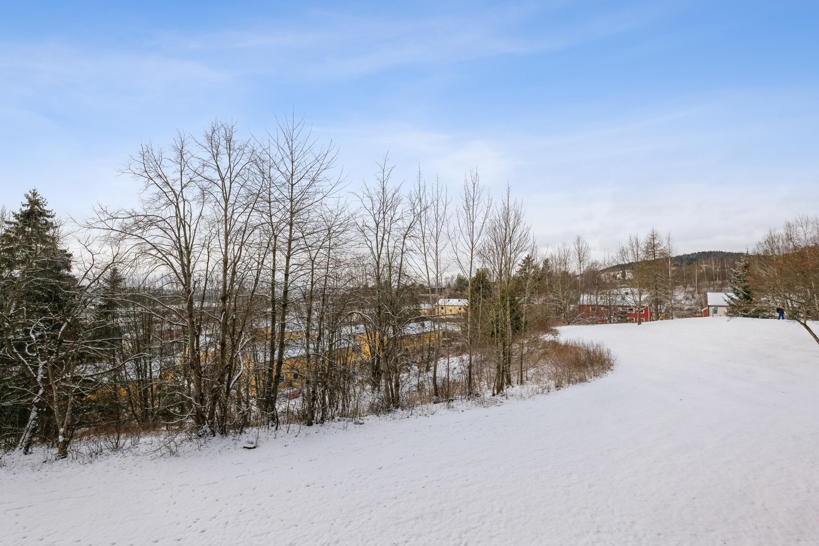 Utsikt mot store grønområder. Her bor det en liten rådyrfamilie som du ser både titt og ofte. Galleribilde