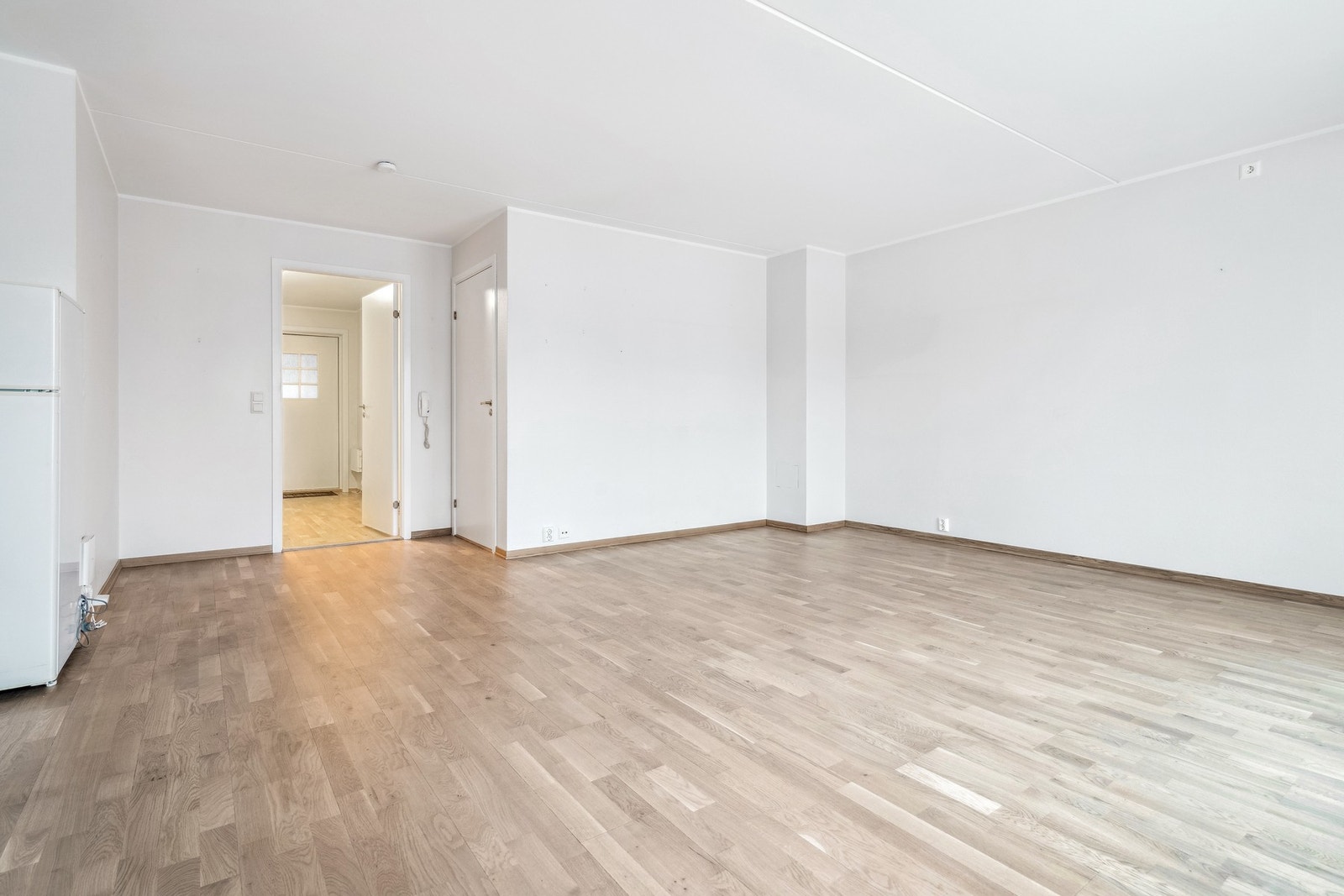 Stor stue med parkett på gulv og lyse overflater Galleribilde