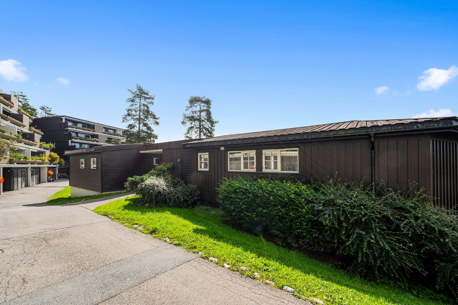 Beliggenheten er skjermet og tilbaketrukket med frodig skogområde som nærmeste nabo Galleribilde