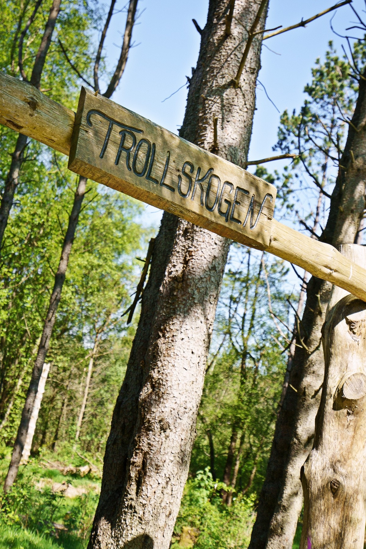 Trollskogen er i umiddelbar nærhet til boligen. Galleribilde