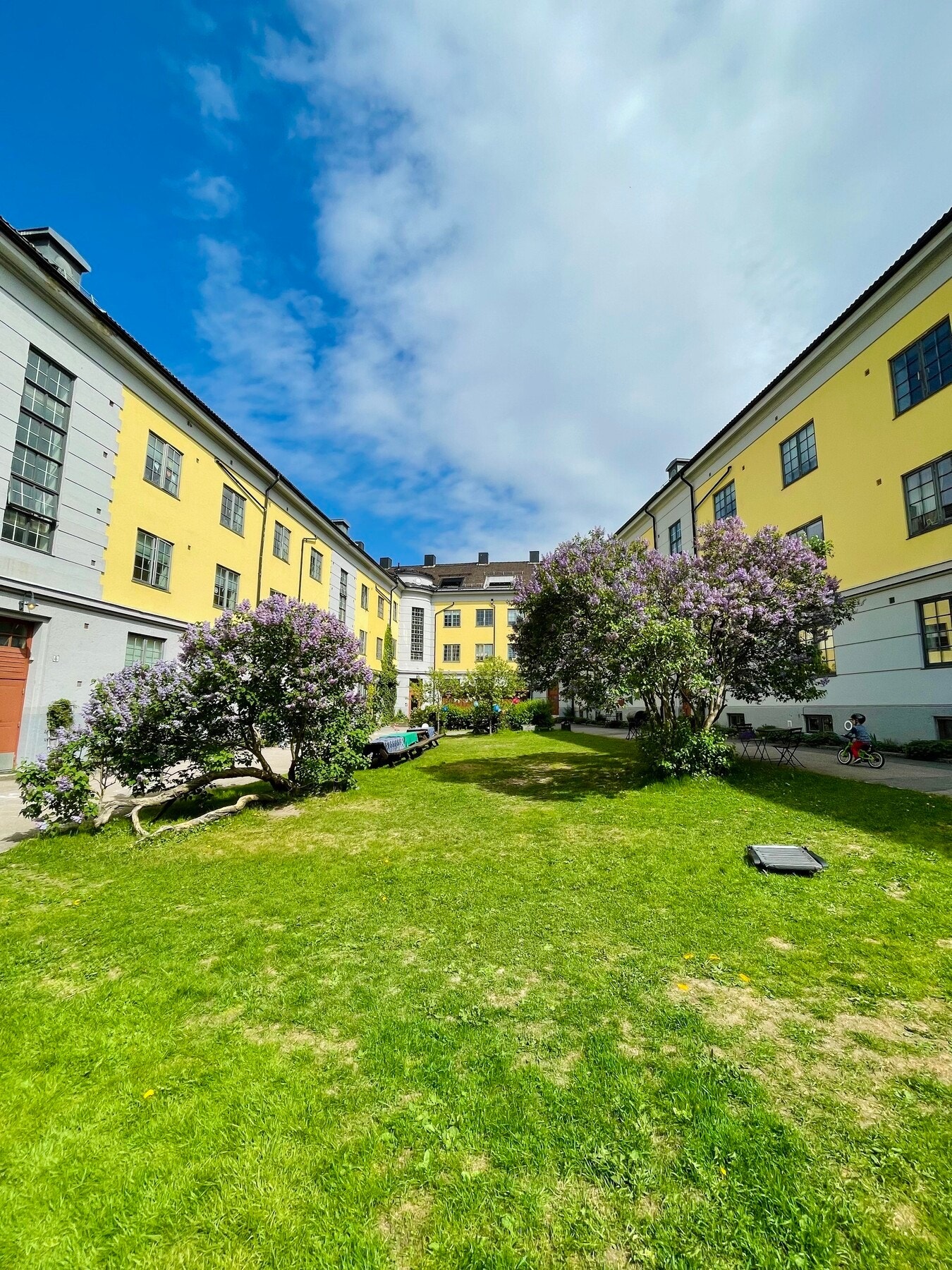 Selgers egne sommerbilder fra bakgården. Galleribilde