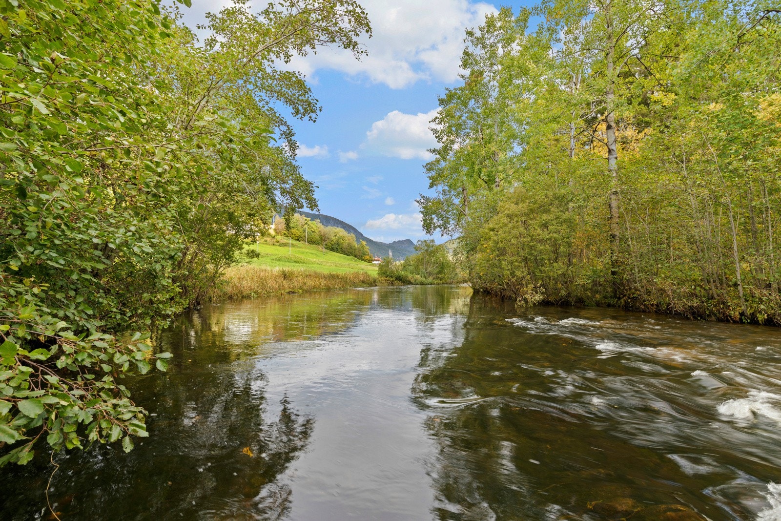 Velkommen på visning - husk påmelding! Galleribilde