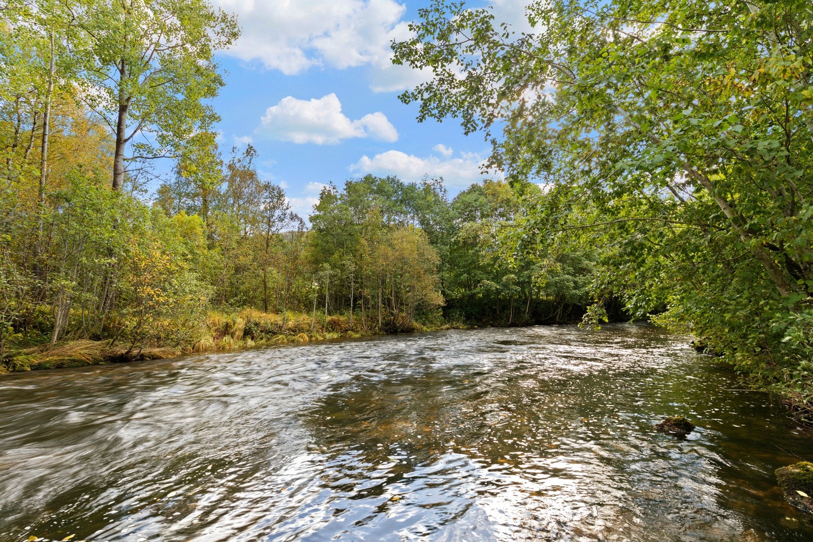 Aureelva og Andestadvatnet ligger like nedenfor boligen - her kan fiskelykken testes i sesong. Galleribilde