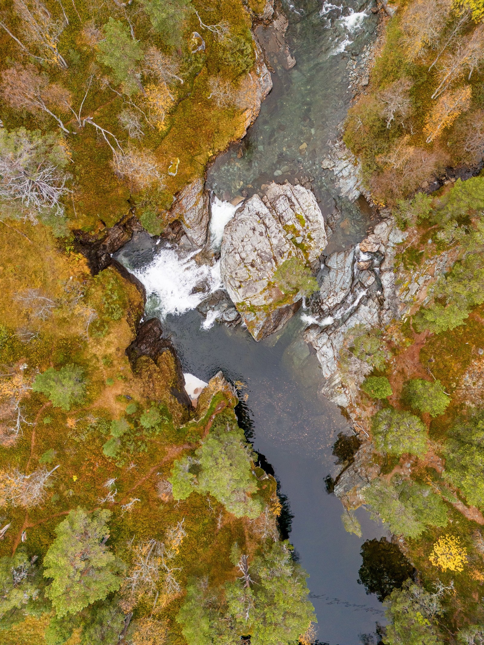 Området er godt egnet for jakt, fjellturer, rafting og sykkelturer. Galleribilde