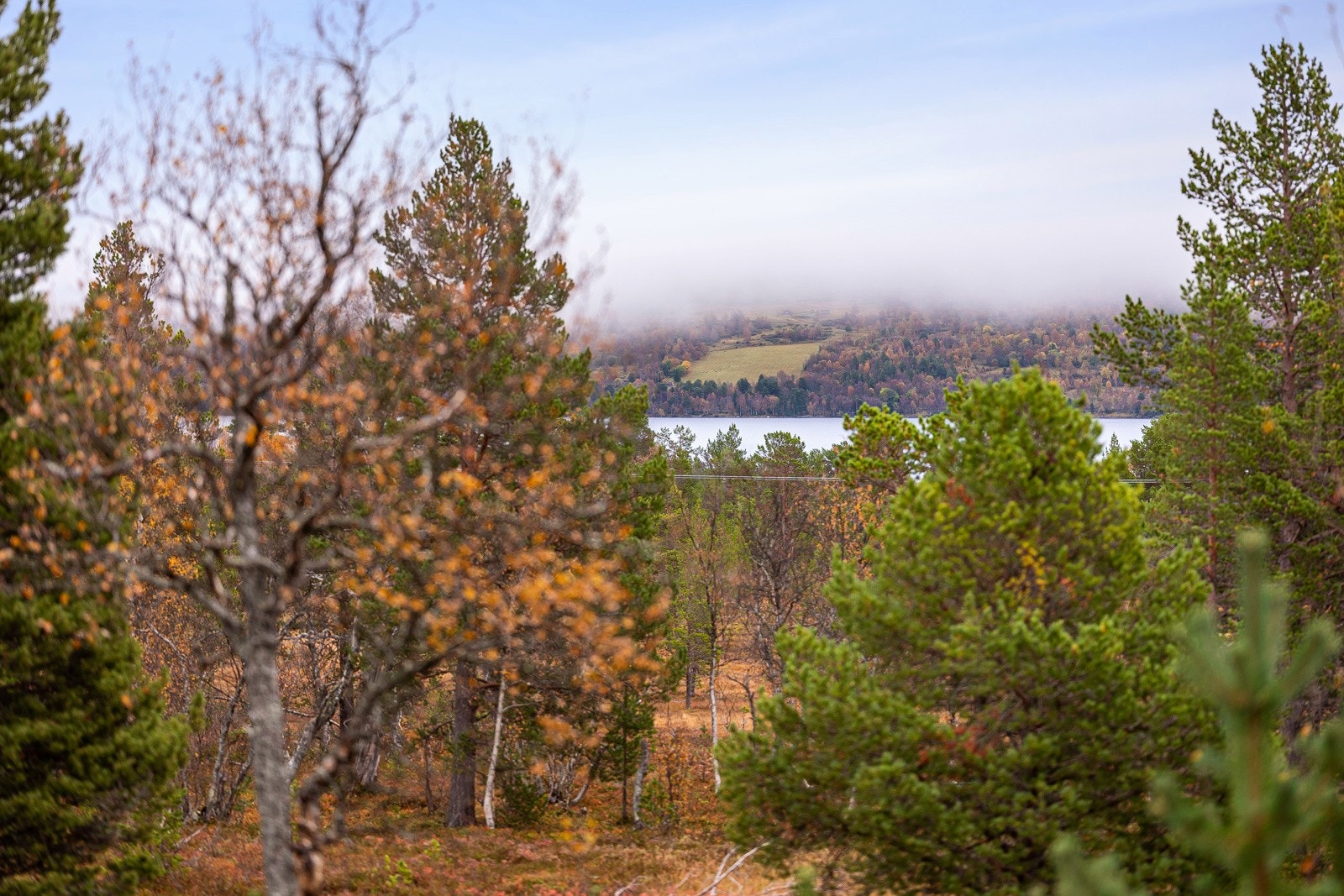 Rundt innsjøen er det merket løype med flott utsikt og som går innom flere gamle seterområder. Galleribilde