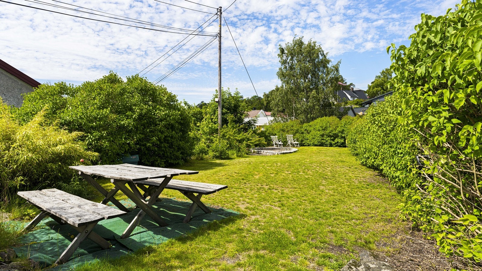 Hyggelig og usjenert med beplantning og vekst Galleribilde