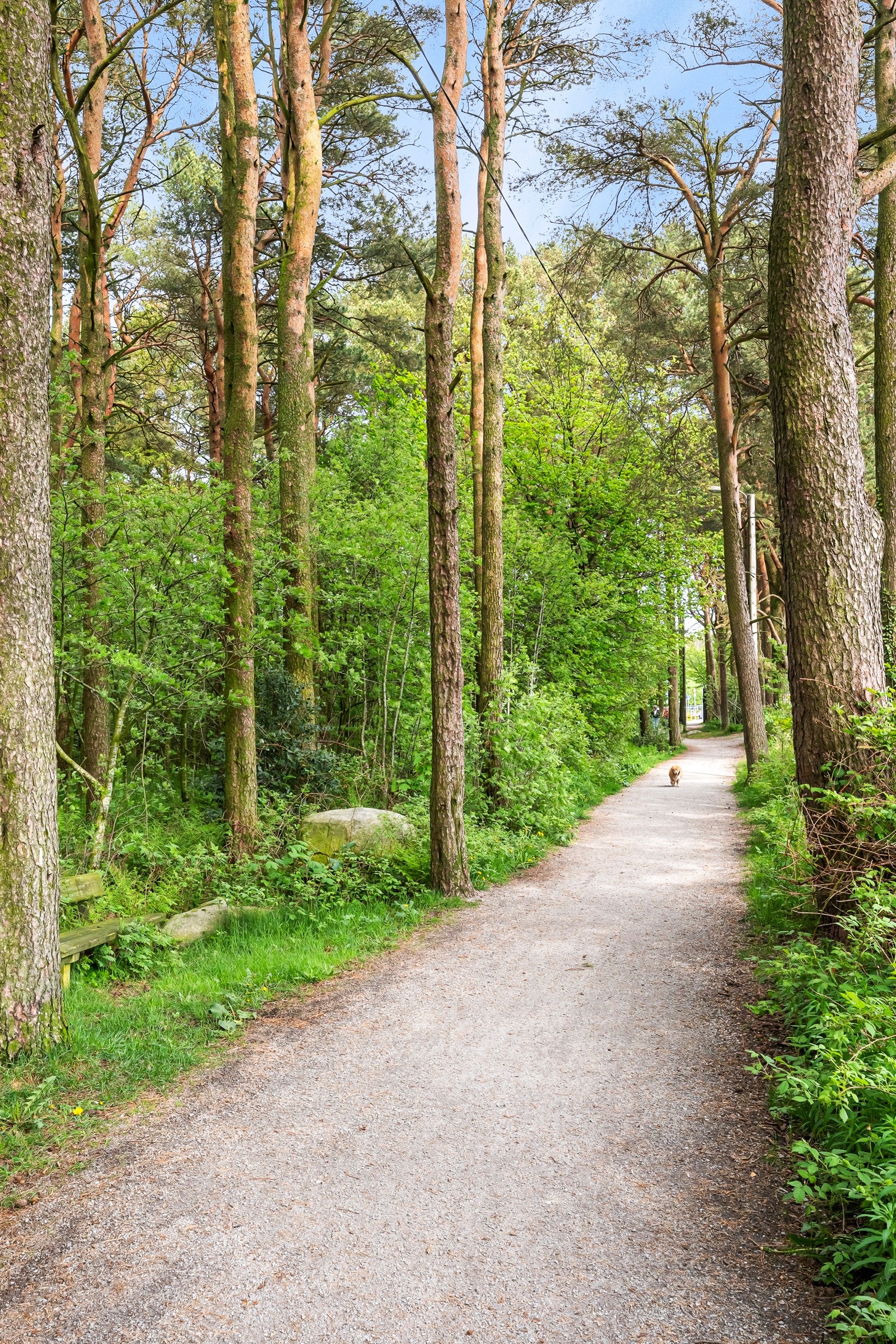 Nærområde. Galleribilde