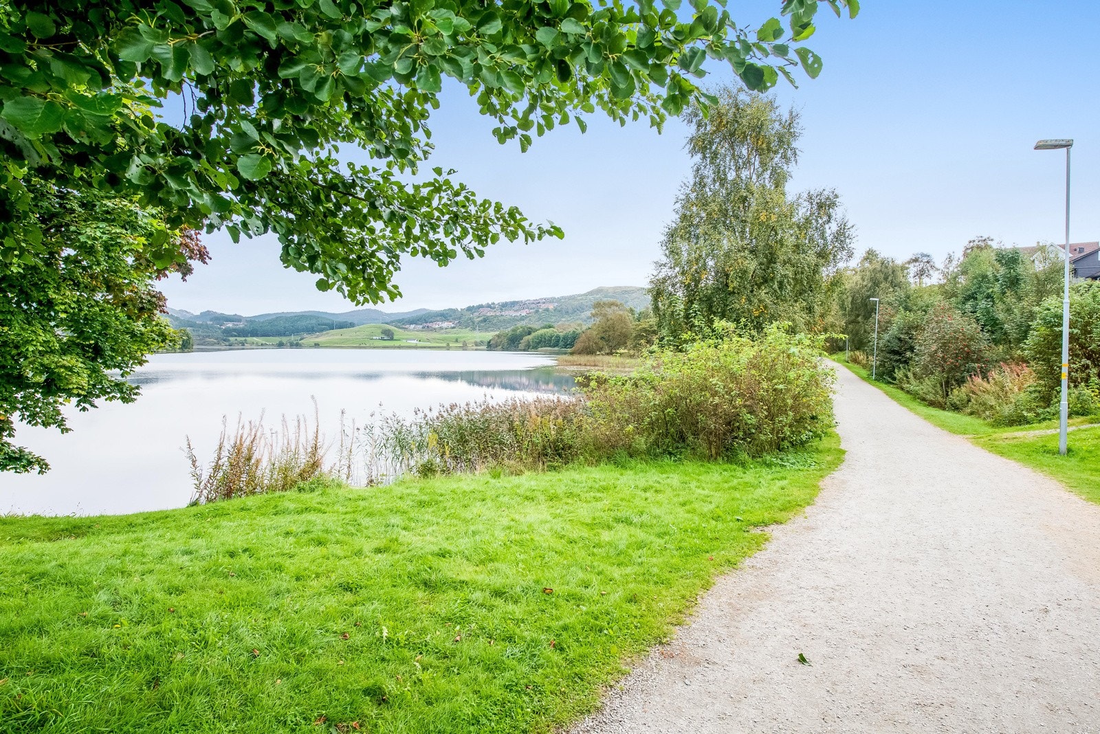 Nærområde. Galleribilde