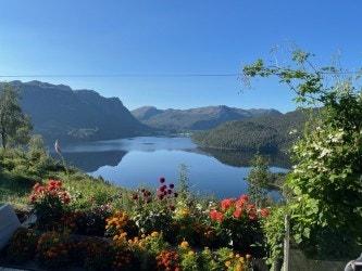 Utsikt fra terrassen! Galleribilde