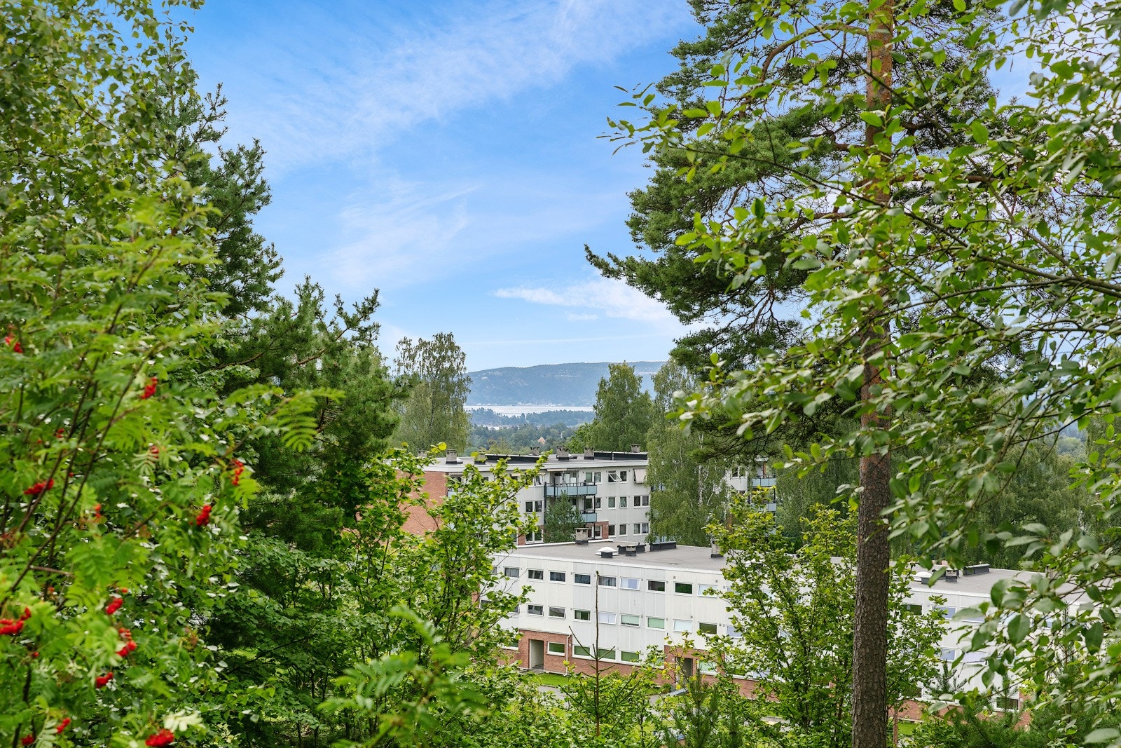 Fin utsikt fra boligen Galleribilde