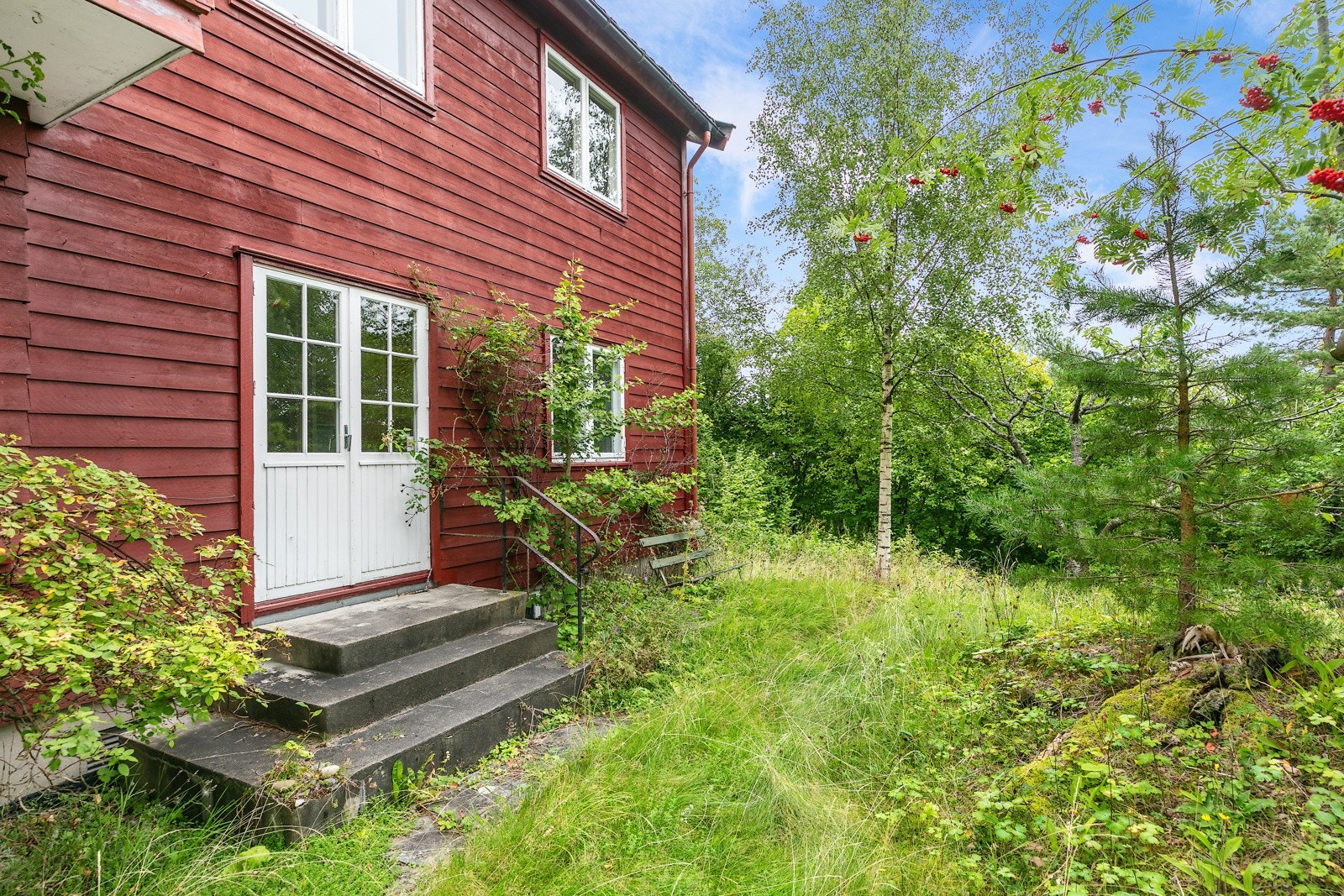 Utgang til hagen Galleribilde