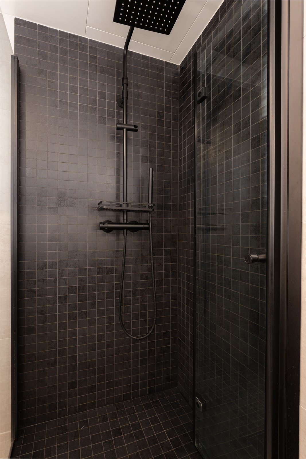 Badet er utstyrt med veggmontert WC, dusjhjørne med innfellbare dusjdører, servant med servantskap, rørfordelingsskap og stoppekran. Galleribilde