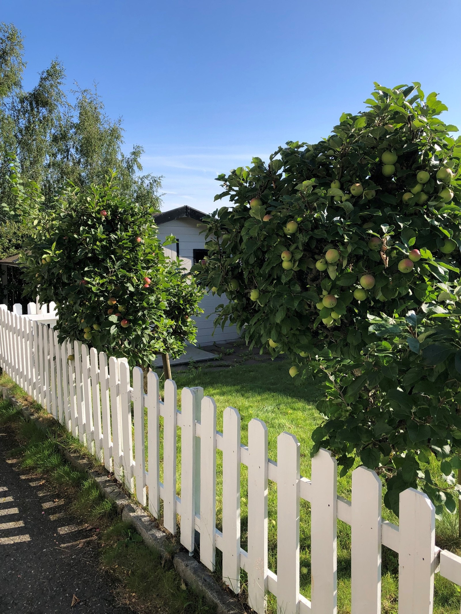 Hageidyll. Galleribilde