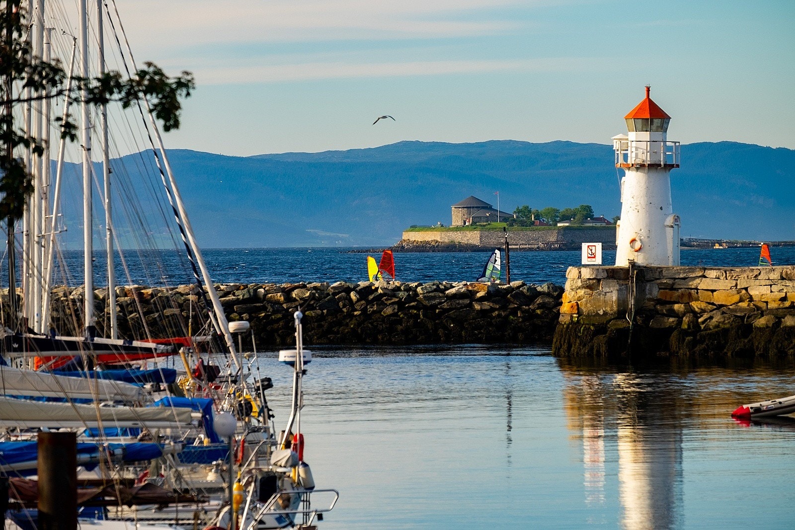 Ila småbåthavn en kort spasertur unna. Galleribilde