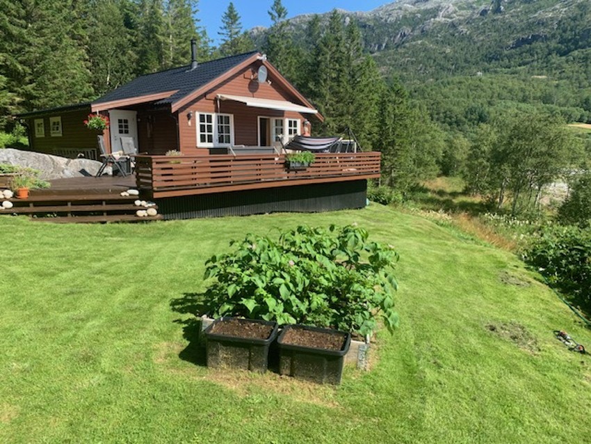 Potet og jordbær dyrkes i plantekasser i hagen Galleribilde