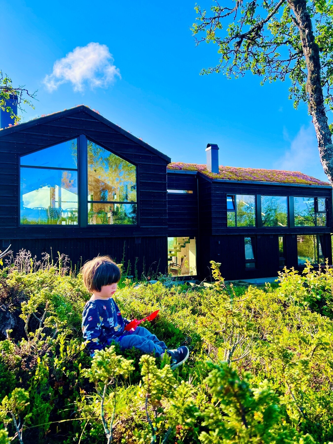 Selgers egne bilder fra annen årstid Galleribilde