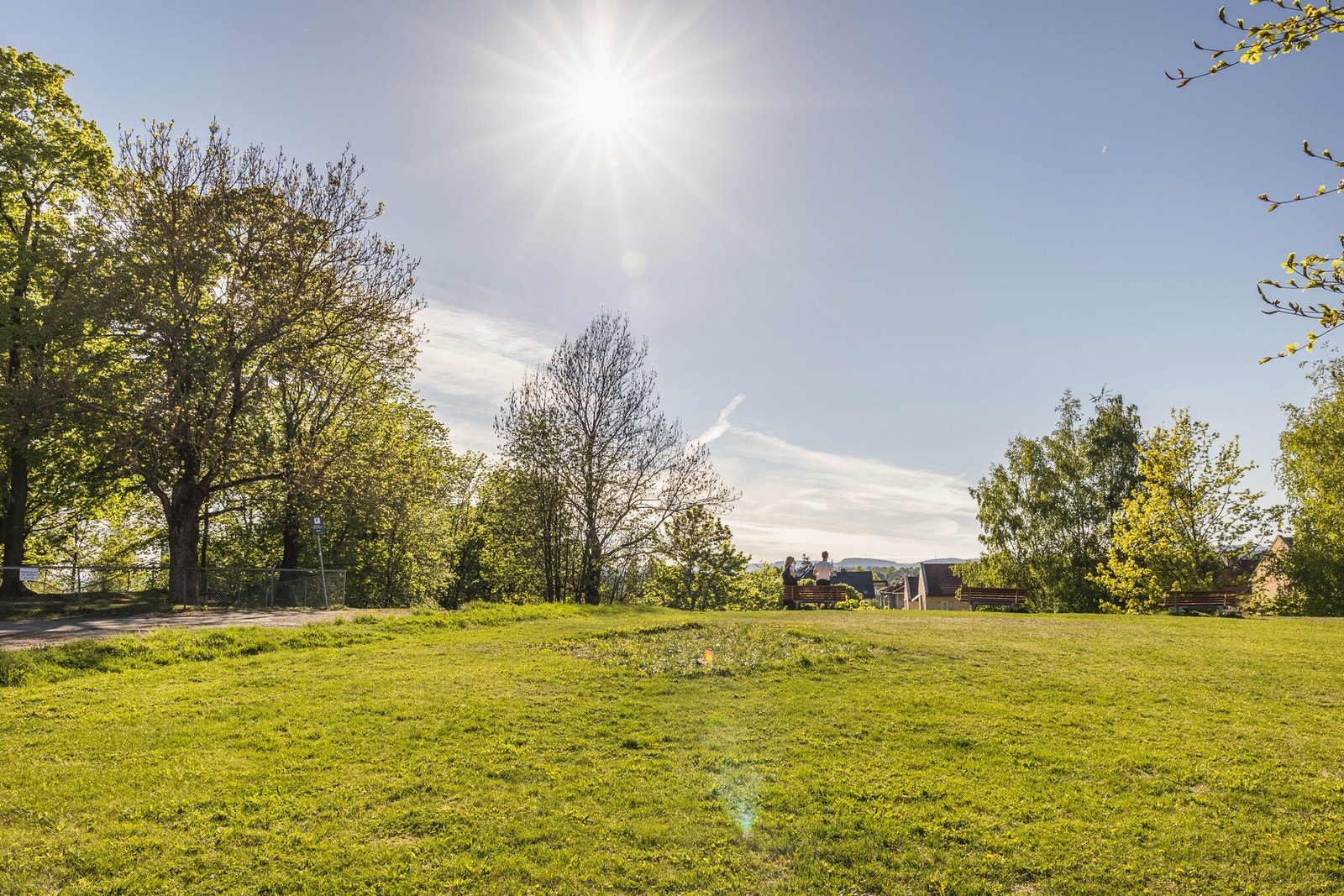 Tøyenparken. Galleribilde