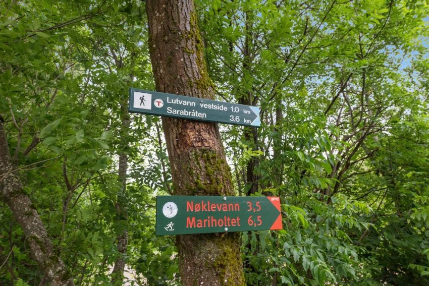 Inngangen til marka ligger rett ved. Galleribilde