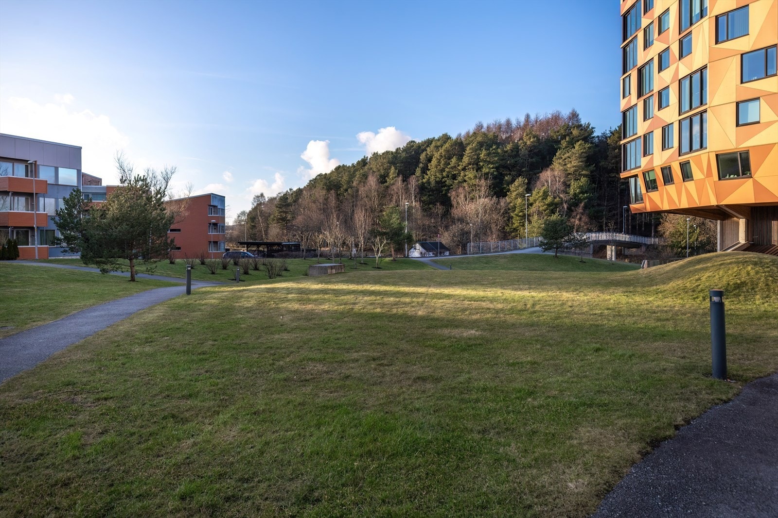 031_Nærområde.jpg Galleribilde