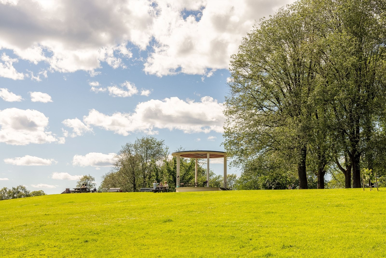 Torshovparken er en populær park med store grøntarealer, sittebenker og grill på sommerstid Galleribilde