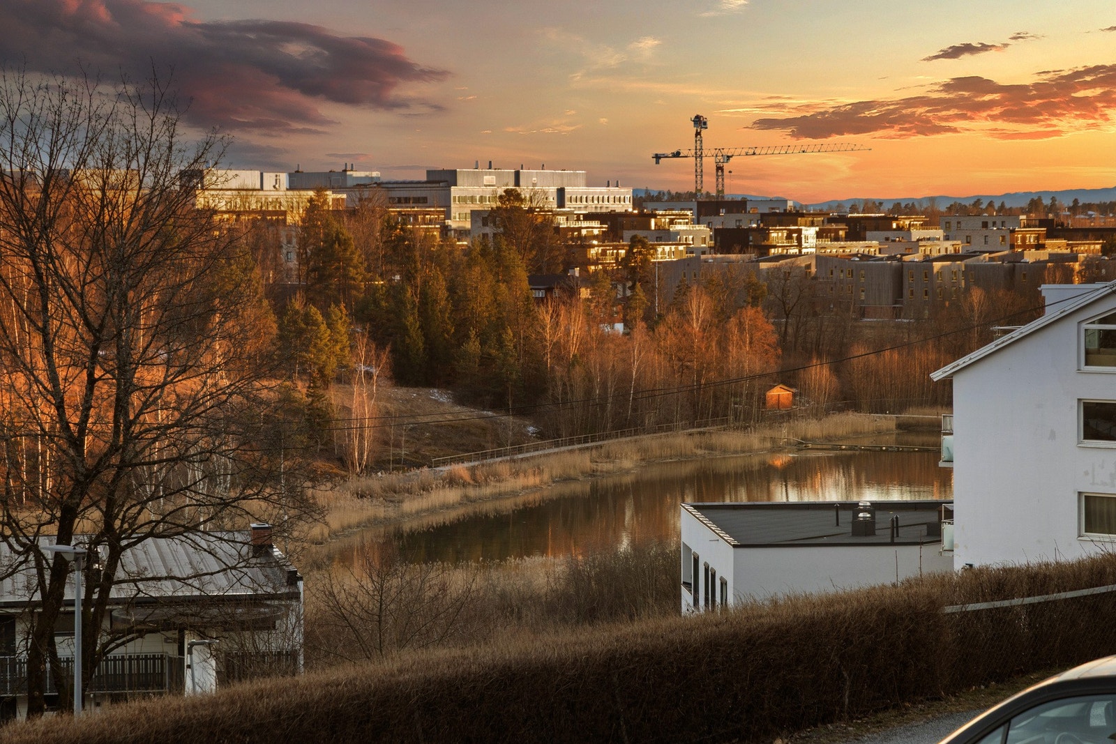 Holtekilen evening Galleribilde