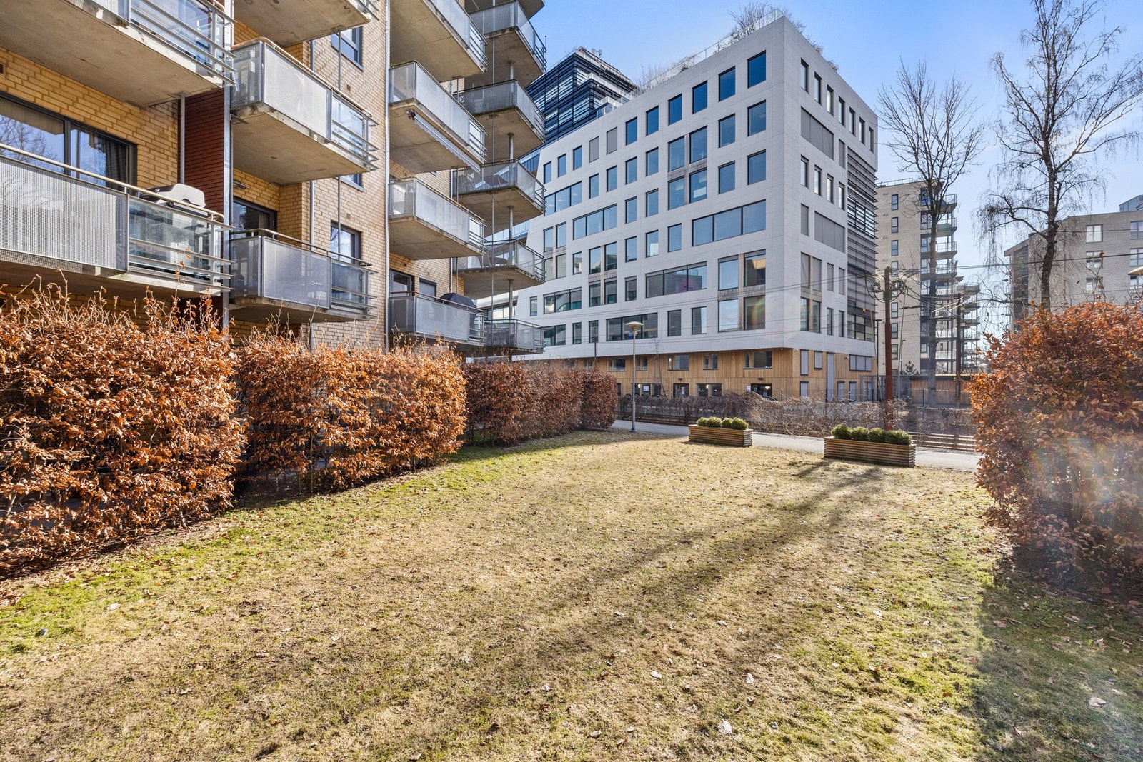 Koselig bakhage med beplantninger Galleribilde