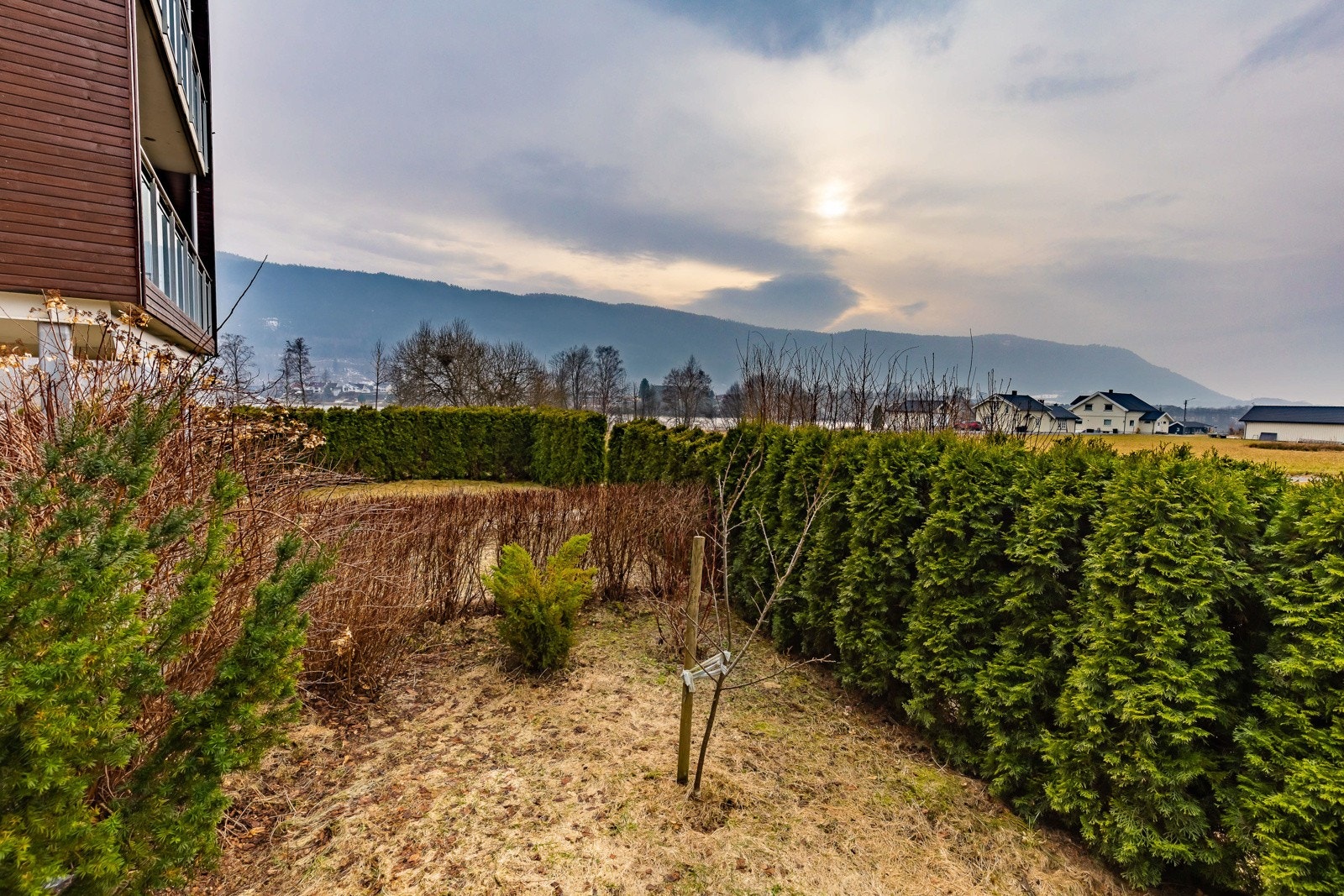 Hagen er godt skjermet av hekk, og har blant annet plen og prydbusker. Galleribilde