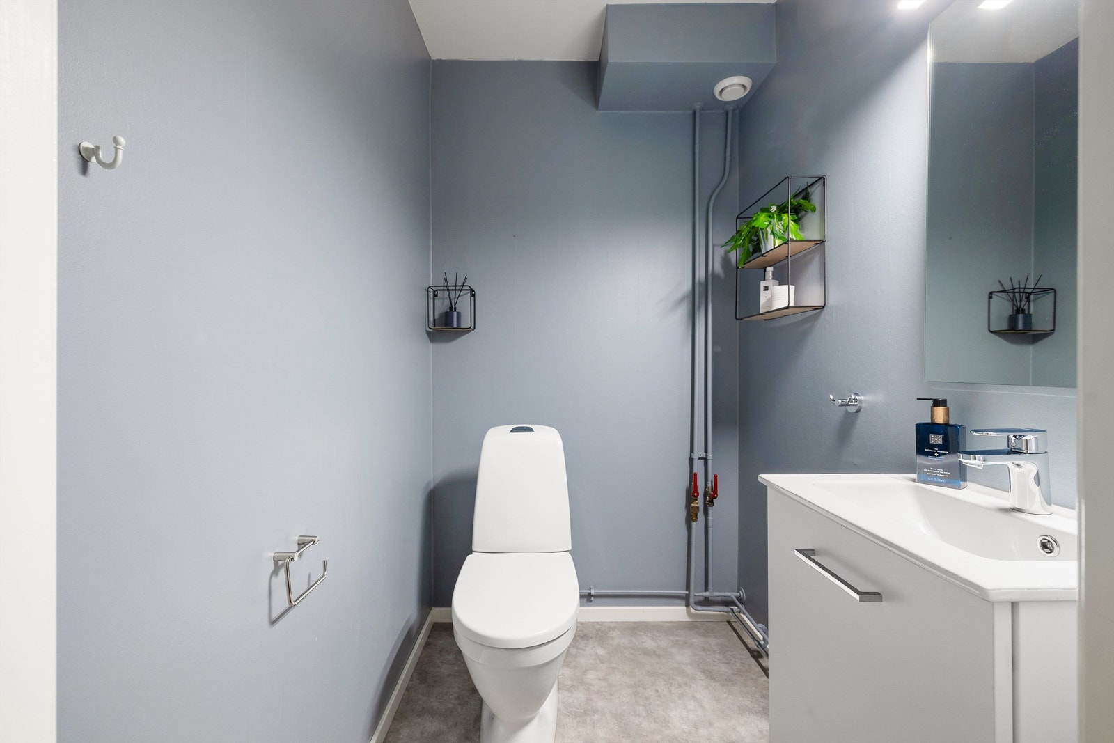 Vegg i vegg med badet finnes et separat toalettrom som ble oppgradert samtidig. Galleribilde