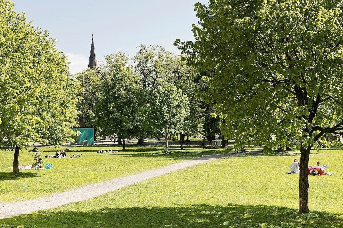 Like nedenfor ligger Sofienbergparken, fantastisk grøntareal rett i nærheten av leiligheten. Her er det også kommet en liten treningspark. Galleribilde