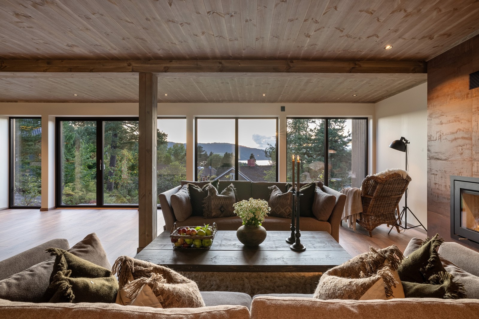 Naturen kan oppleves fra sofaen Galleribilde