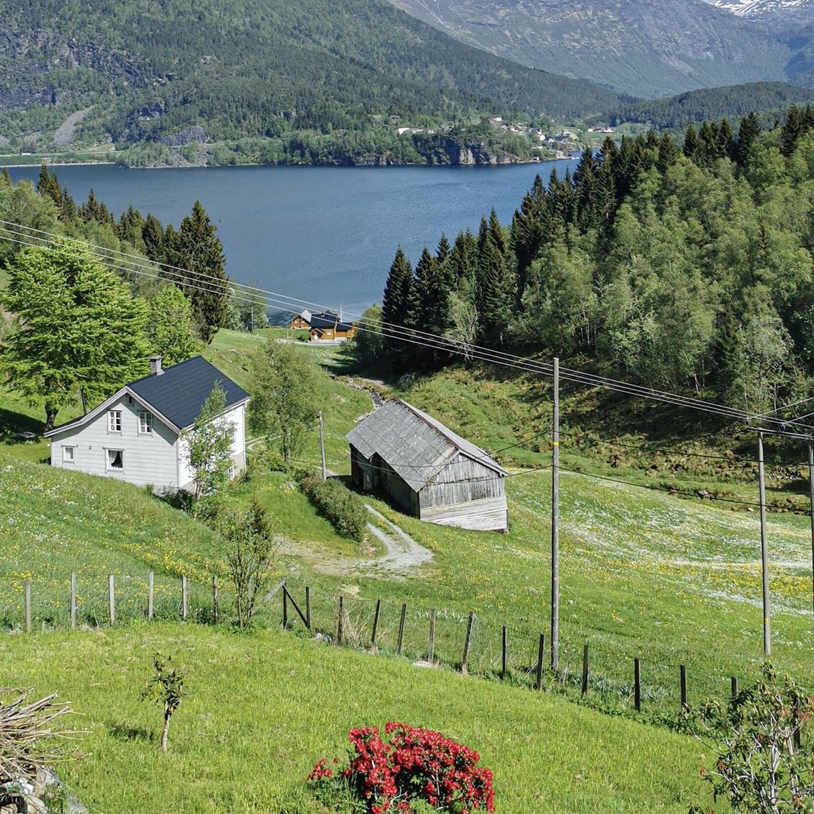 Selgers private bilde Galleribilde