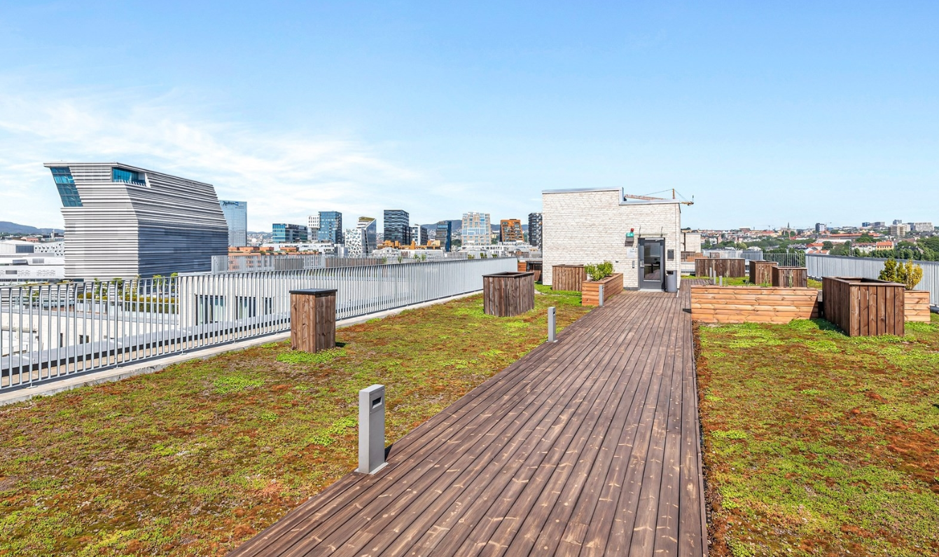 Leiligheten har tilgang til to felles takterrasser. Galleribilde