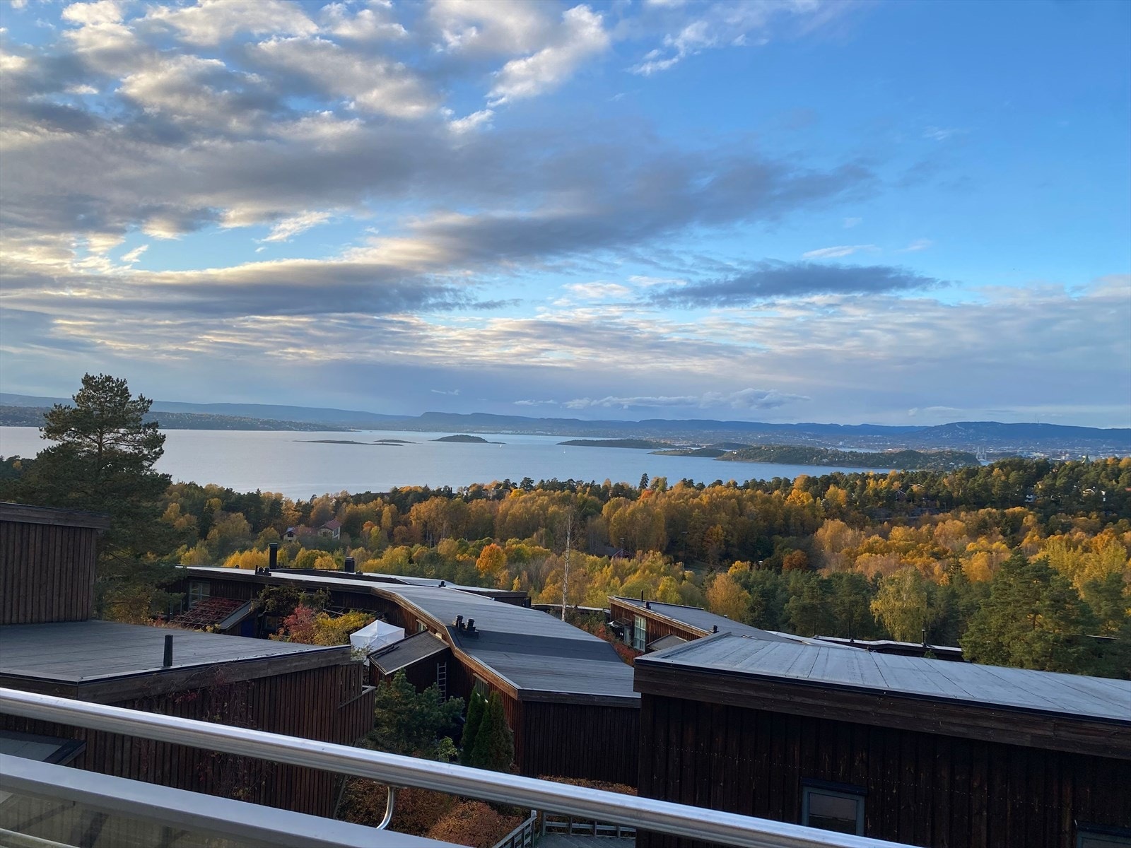 Selger sine bilder Galleribilde