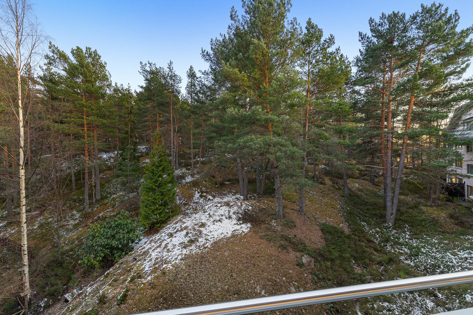 Naturskjønn utsikt Galleribilde