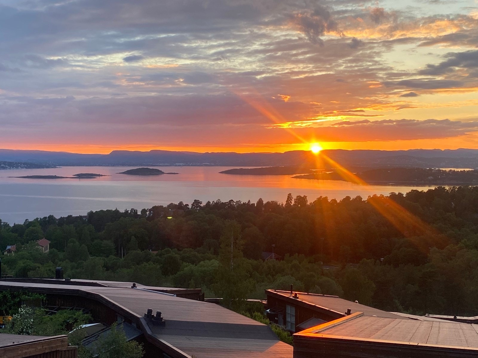 Selger sine bilder Galleribilde