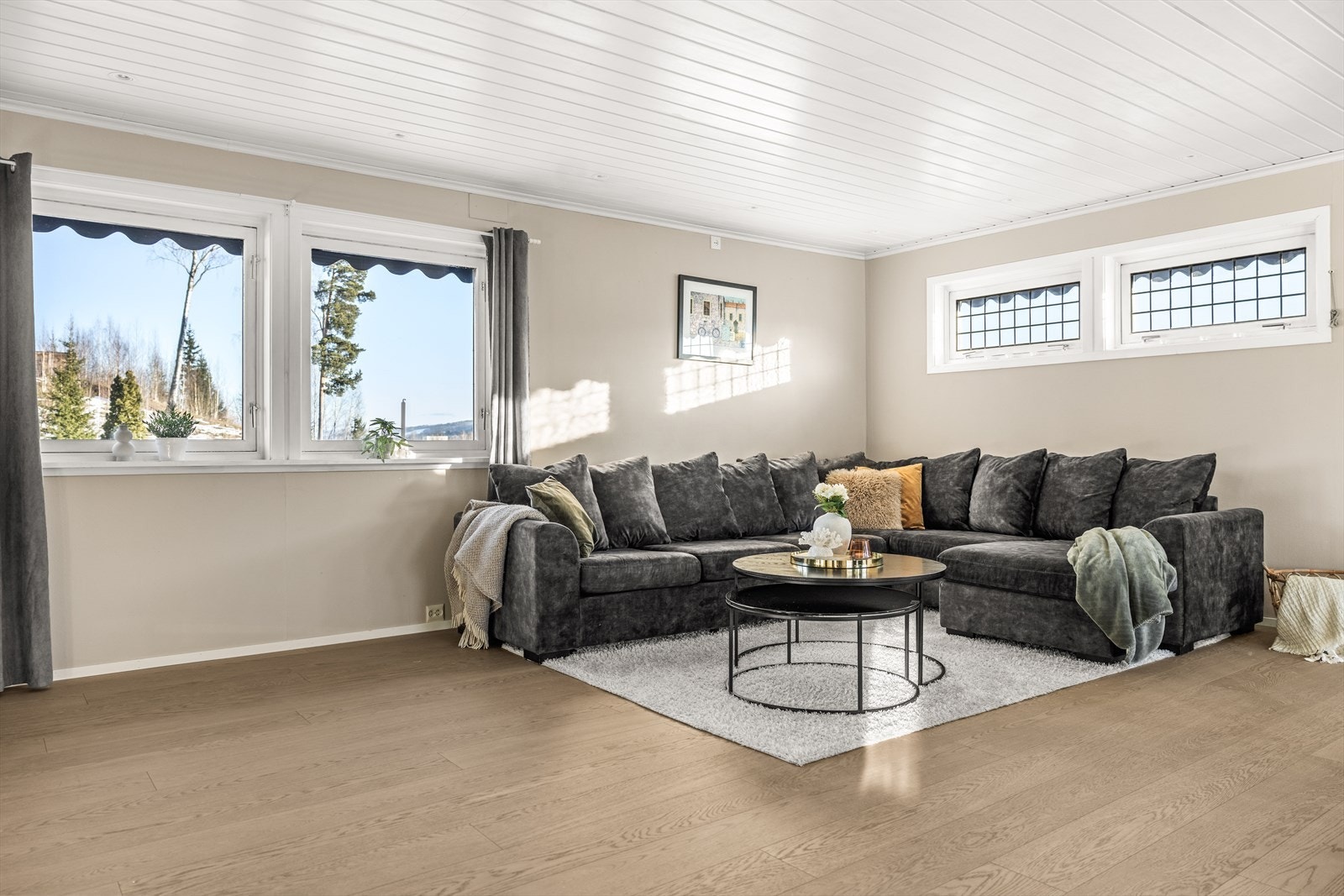 Sofaområde - Det er solskjerming på alle vinduer. Galleribilde