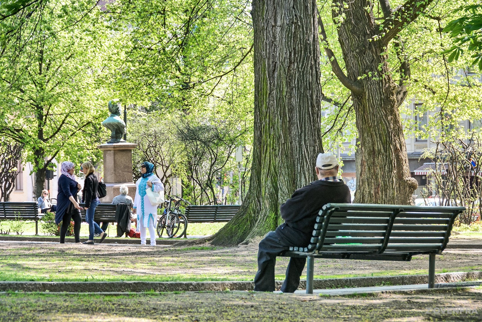 Nærområde - Birkelunden. Galleribilde