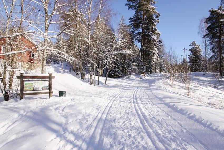 Flotte skiløyper om vinteren i Østmarka Galleribilde