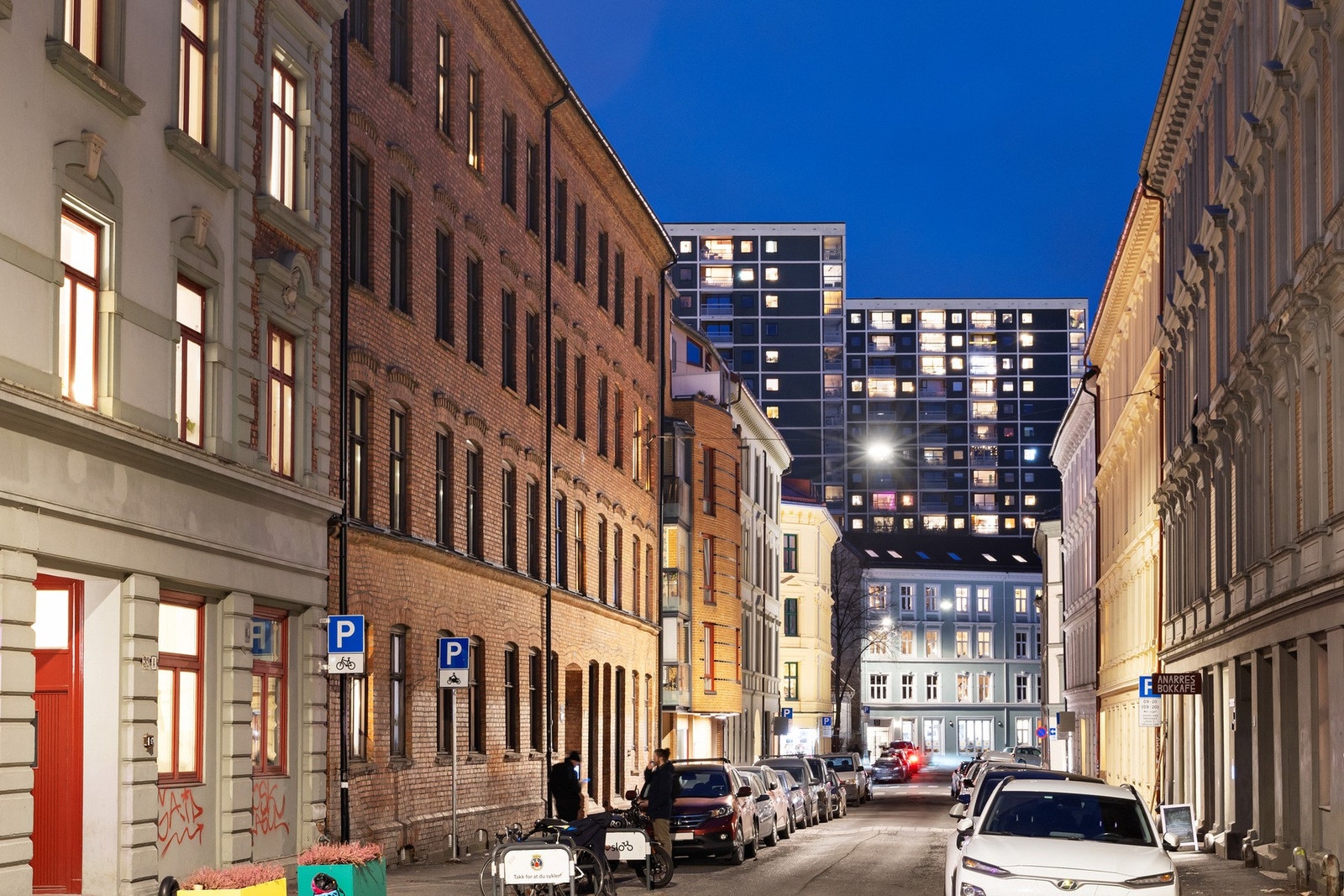 Nærområdet. Galleribilde