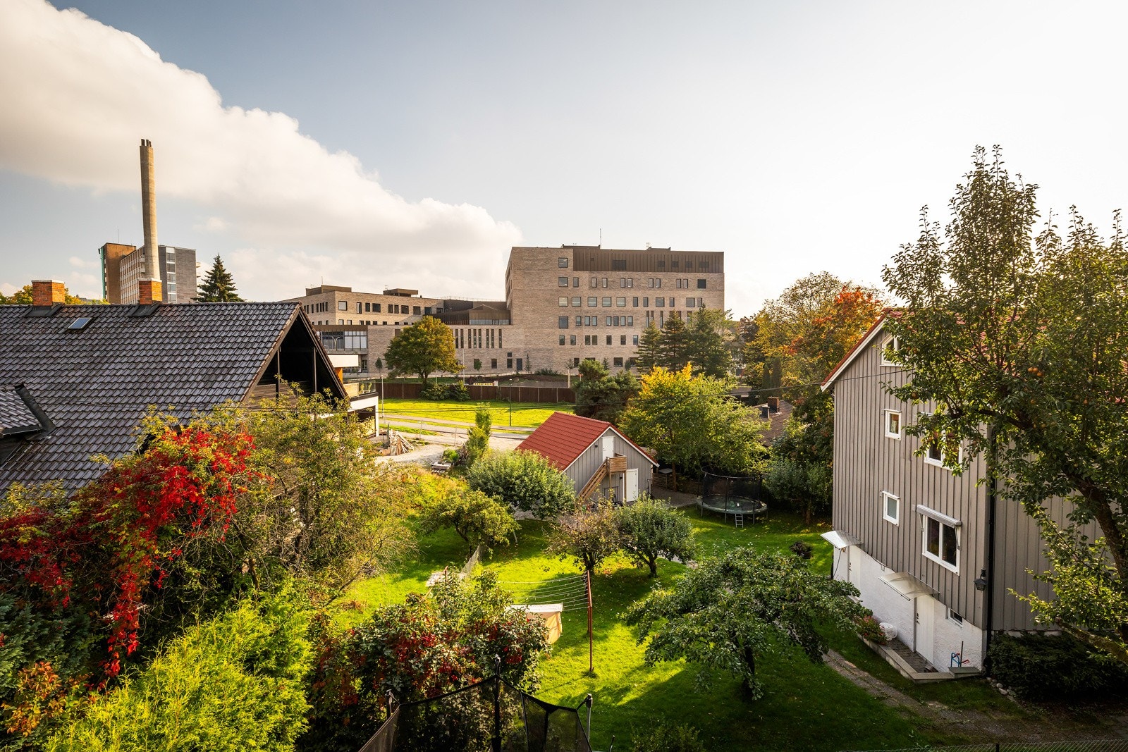 Flott utsikt. Galleribilde