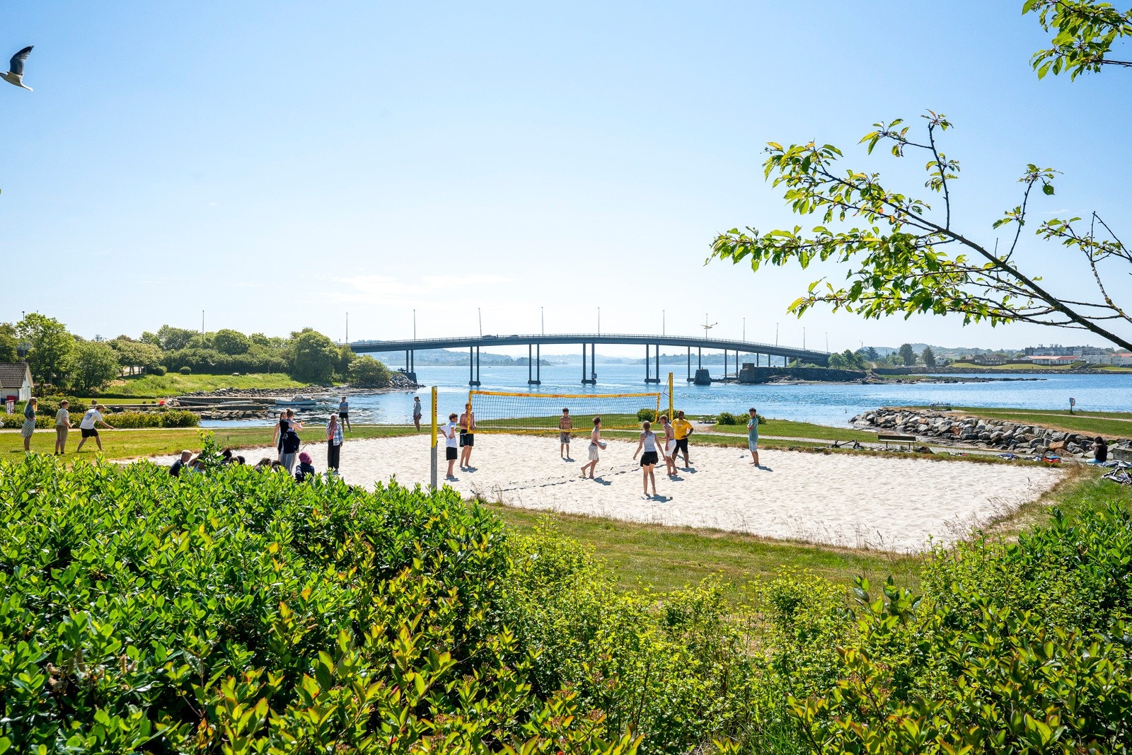 Flotte rekareasjonsmuligheter langs sjøen. Galleribilde
